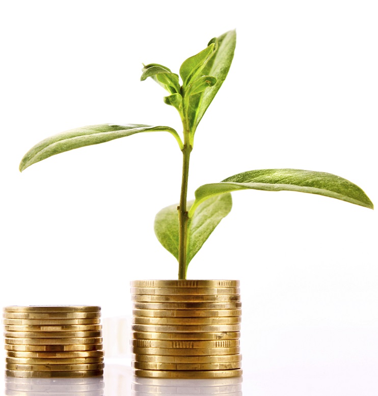Investor's safeguards