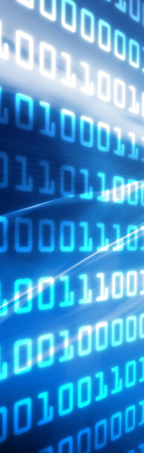 Fund's key information